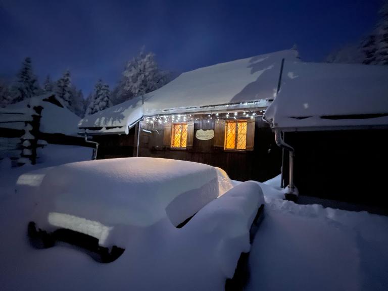 Velika planina Chalet SLOVENKA - Chambres d'hôtes Stahovica