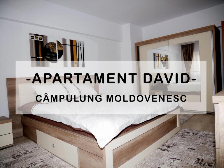 Apartament David - Chambres d'hôtes Câmpulung Moldovenesc