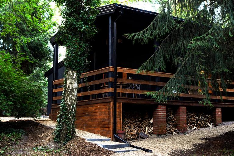 Okno na las - B&B Wola Polska