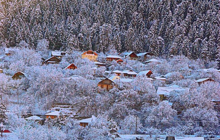Friendly House - B&B Borjomi