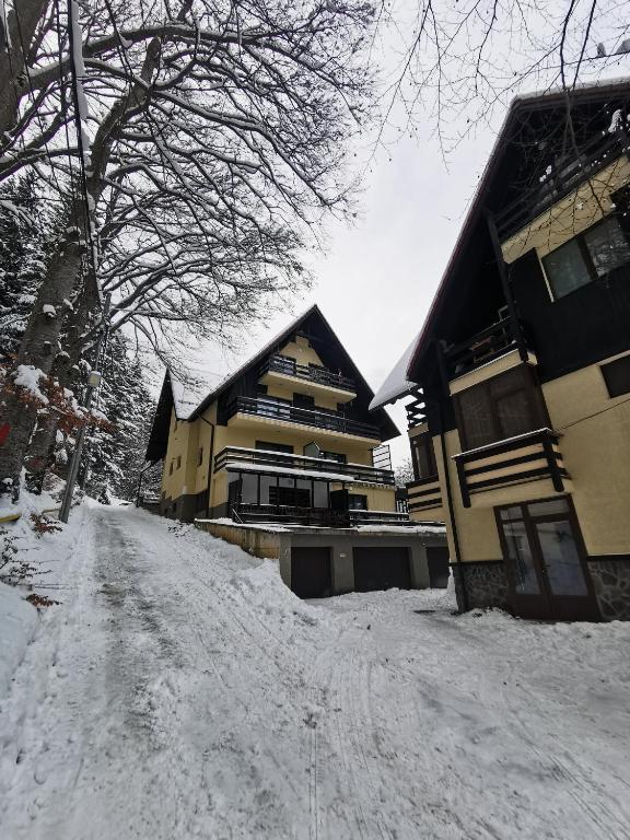 Apartament Kalinderu K3 Busteni - B&B Buşteni