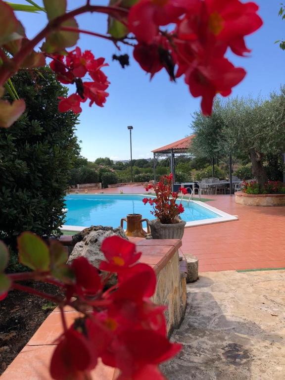 L'eremo - B&B Alberobello