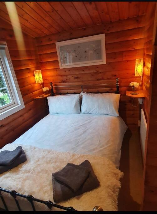 Snowdonia Escapes # TRANQUIL CABIN with Views, Wi-Fi, Dog Friendly & Parking - Ferienwohnung Trawsfynydd