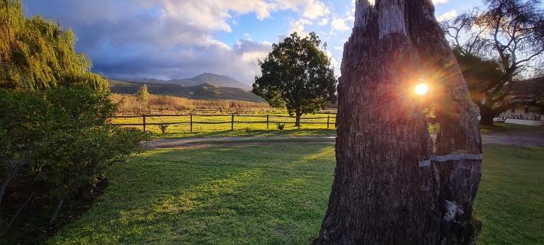 Whipstock Guest Farm - B&B McGregor