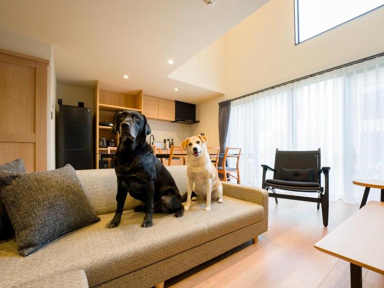 Rakuten STAY VILLA Kamogawa Building D with Terrace and sauna Capacity of 10 persons Pets allowed - B&B Kamogawa
