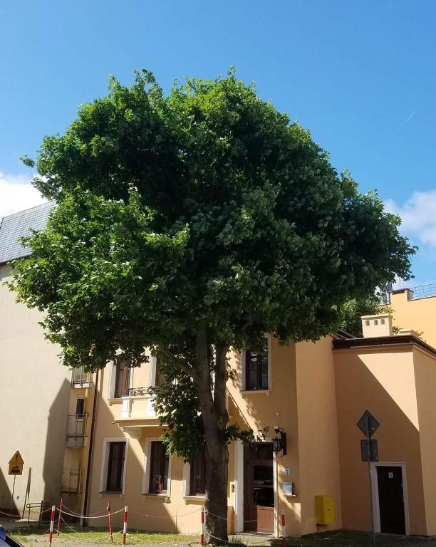 Apartamenty na Cichej 5 a4 - Ferienwohnung Kolberg