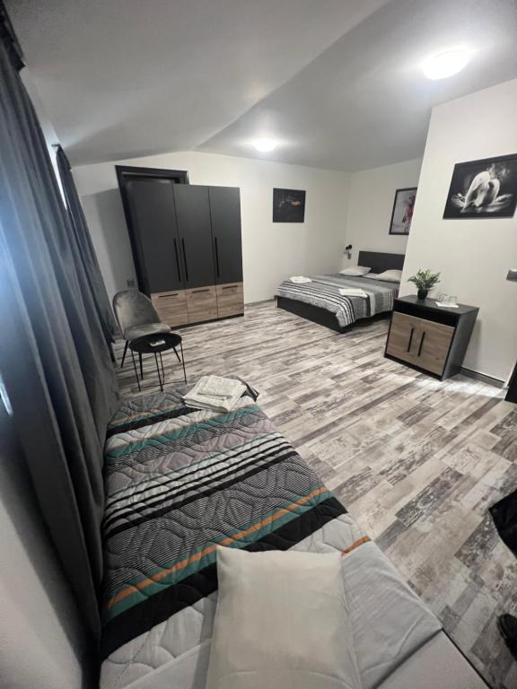 Pensiunea Luisa - B&B Craiova