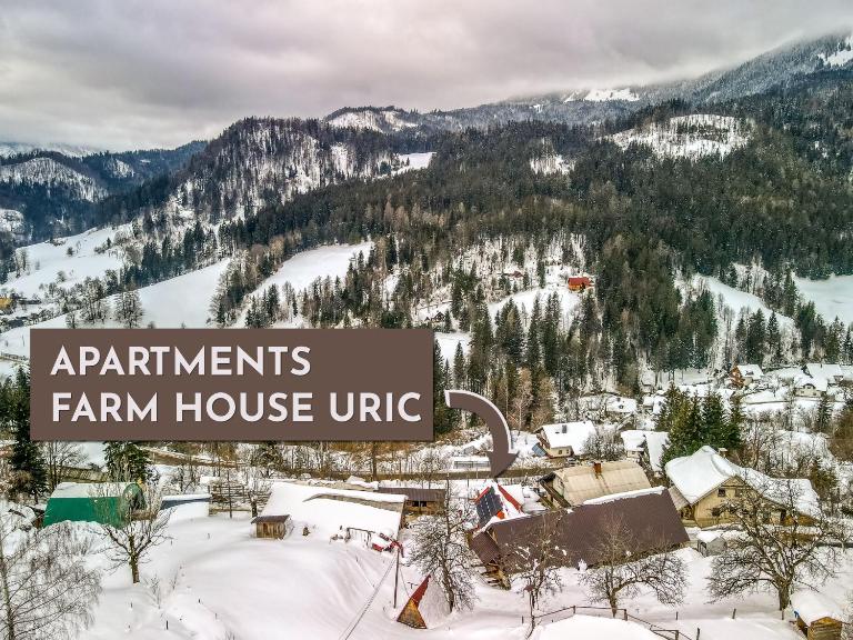 Apartments Farm House Uric - B&B Jesenice
