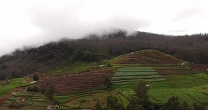 MOUNTAIN OF MAGICS - B&B Udhagamandalam