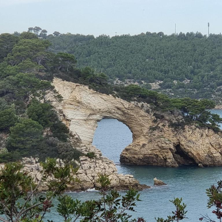 VILLA TERRY - Bed and Breakfast Vieste