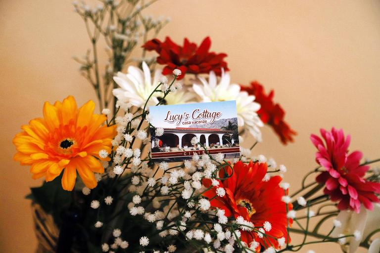 Lucy's cottage - B&B Cinisi