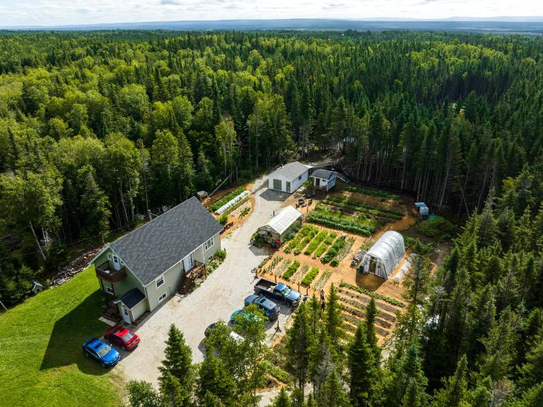 Upper Humber Settlement a FarmStay B&B - B&B Cormack