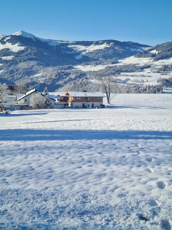 Berg Apartment Barbara - B&B Hopfgarten im Brixental