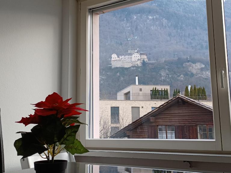 Vaduz City Center Apartment with balcony and parking spaces - B&B Vaduz