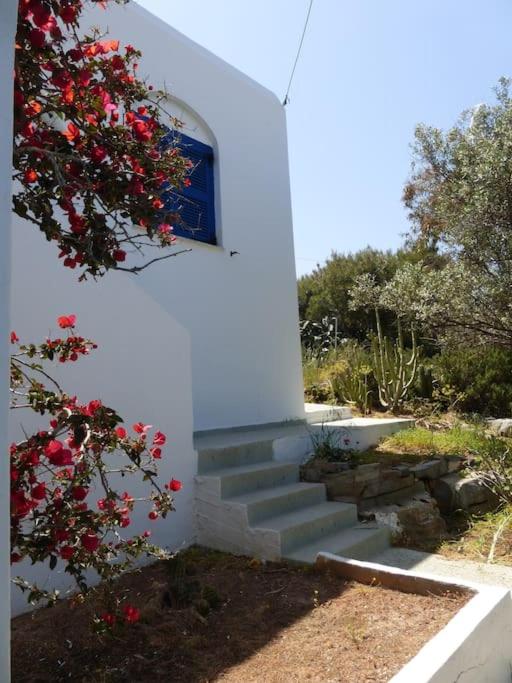 Apartment Franziska - Apartment 2 - B&B Naoussa