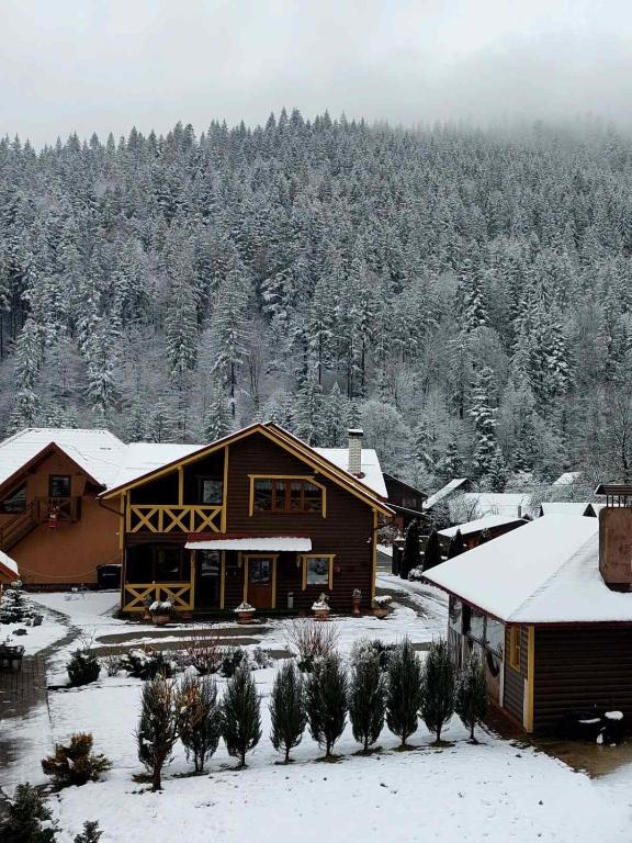 Сімейний котедж У Діани - B&B Tatariv