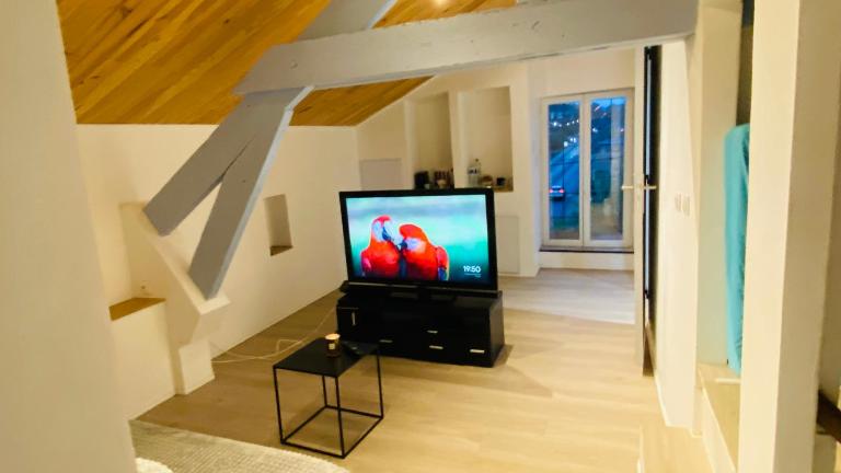 Studio Cros climatisé - B&B Castres