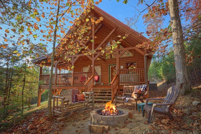Wet Bear Paws #146 - B&B Sevierville