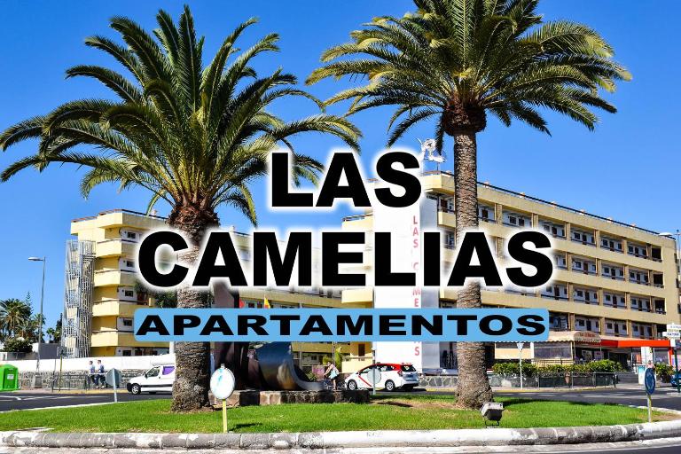 Las Camelias Apartments - B&B Playa del Ingles
