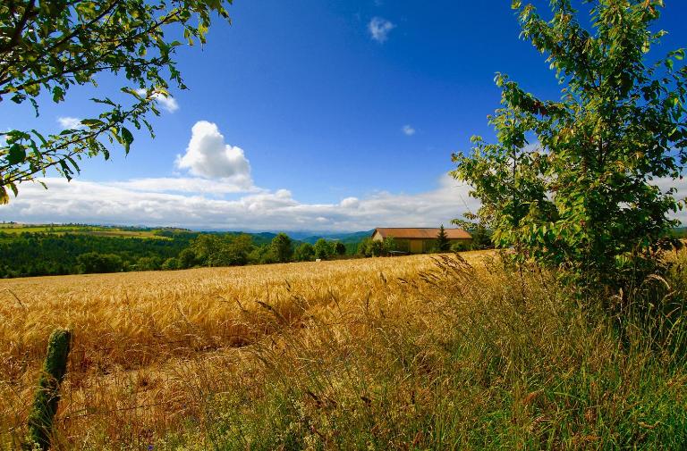 La Reine des Prés - Bed and Breakfast Chomelix