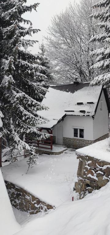 Sova Kopaonik - Chambres d'hôtes Kopaonik