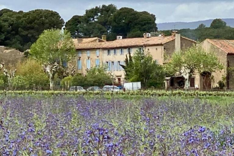 Gîte - Le Relais d'Affiac - B&B Peyriac-Minervois