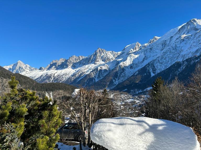 Logement avec jardin et vue panoramique MontBlanc - Bed and Breakfast Les Houches
