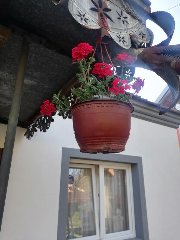 Etno Kuca Badejevic - B&B Plavna