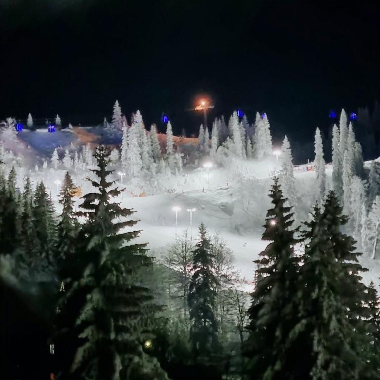 D&D Apartman Jahorina - B&B Jahorina