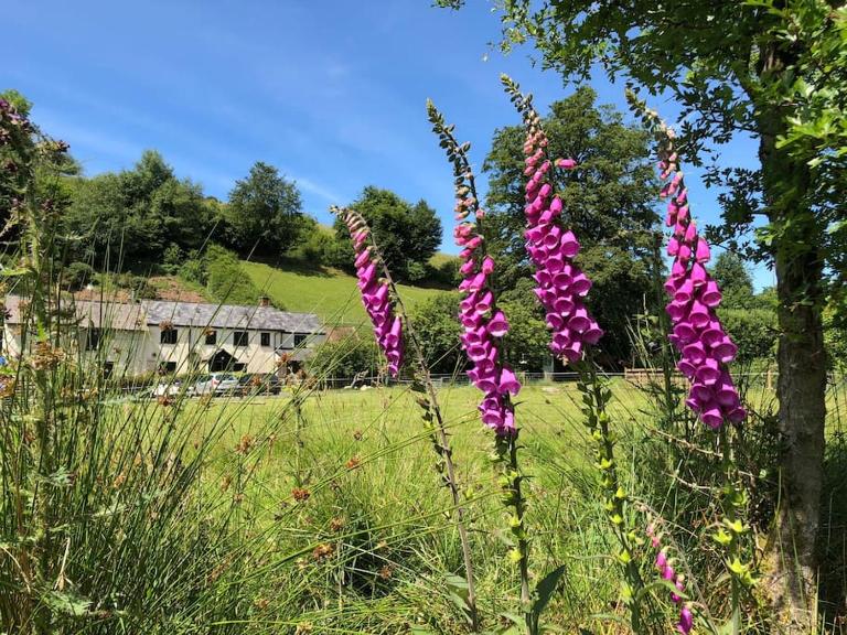 Luxury Exmoor Barn conversion with Sauna - B&B Exford