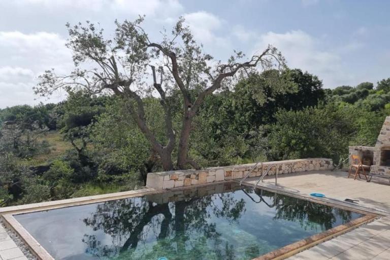 Trullo Piccola Lucertola in Valle d’Itria… - Ferienwohnung Ceglie Messapica