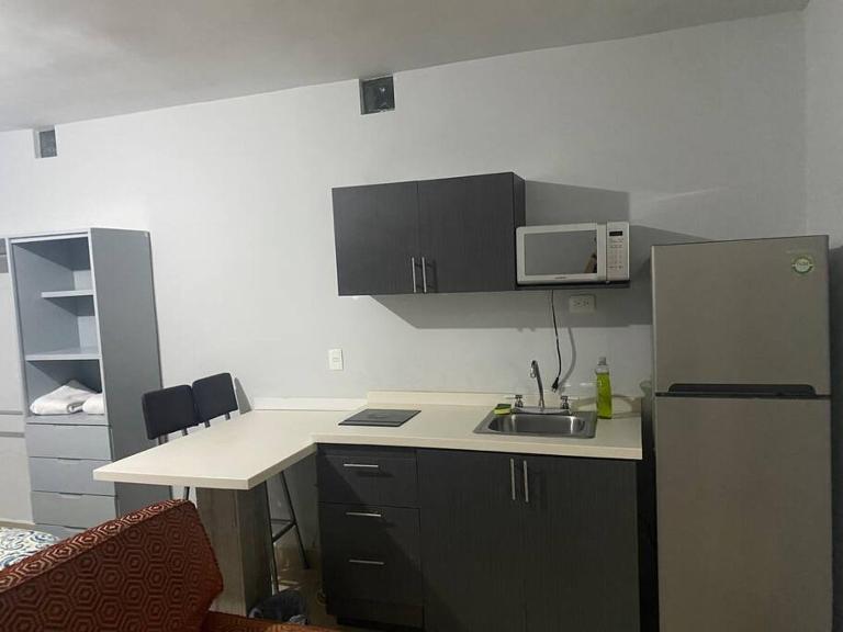 Loft Hermoso en Guadalupe BBVA - Ferienwohnung Monterrey