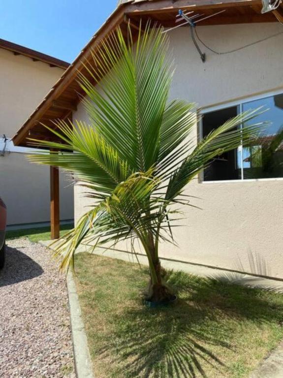 Loft no Campeche Próximo à Praia!!!! - Ferienwohnung Florianópolis