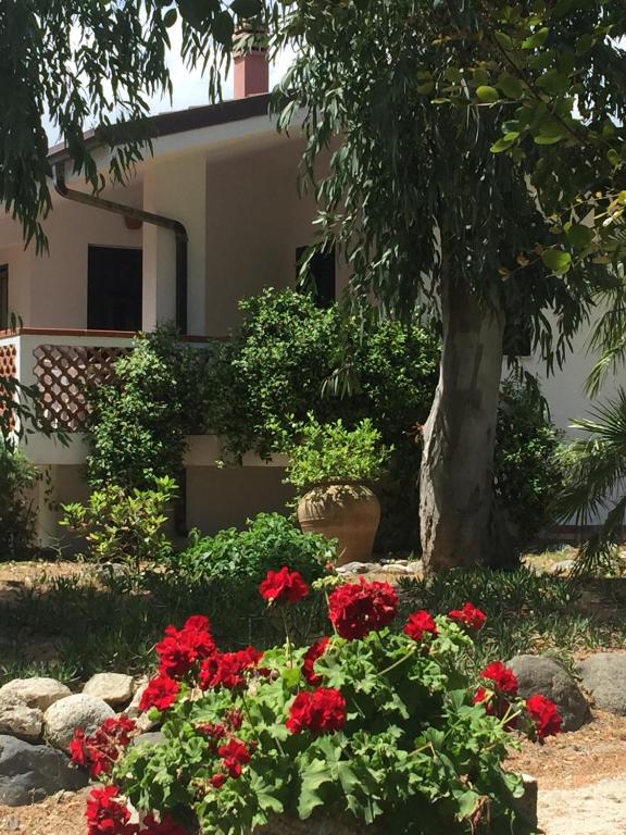 Villa Marina Piccola - B&B San Sostene Marina