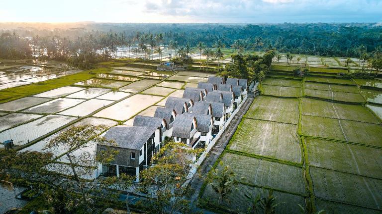 Asri Cinta Villa Ubud - Ferienwohnung Ubud