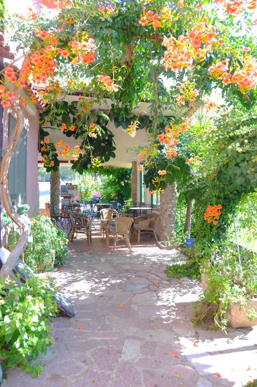 Casa Vacanze Marcella - B&B Palinuro