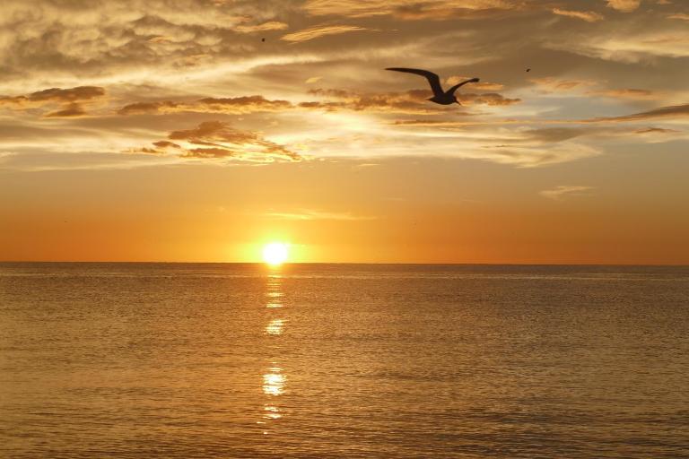 Charming 2 Bed South End Beachfront Condo at Popular Seawinds - Bed and Breakfast Marco Island
