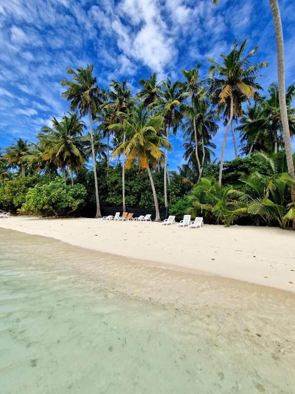Finolhu Beach Guest House - Bed and Breakfast Felidhoo