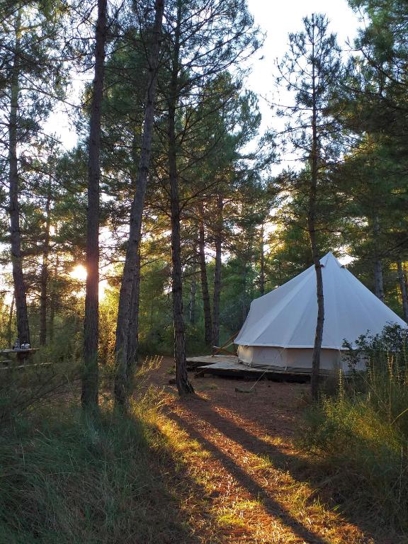 Forest Days - Bed and Breakfast Navès