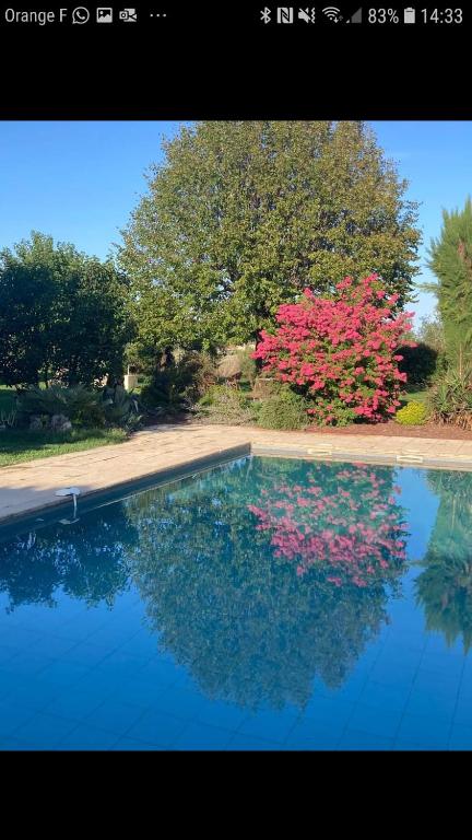 Gîte cocooning climatisé avec piscine et animaux - B&B Bougé-Chambalud