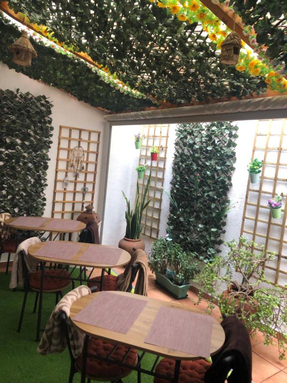 Merry's House - B&B Lagos