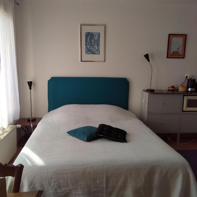 STUDIO au sud de Lyon à Oullins - B&B Oullins