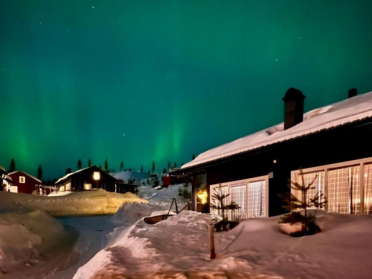 Family friendly cabin Hemsedal GolfAlpin golf, ski-out, fireplace & wifi - B&B Hemsedal