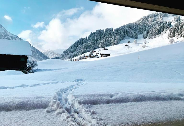 Kracha Alpinlodge - Ferienwohnung Mittelberg