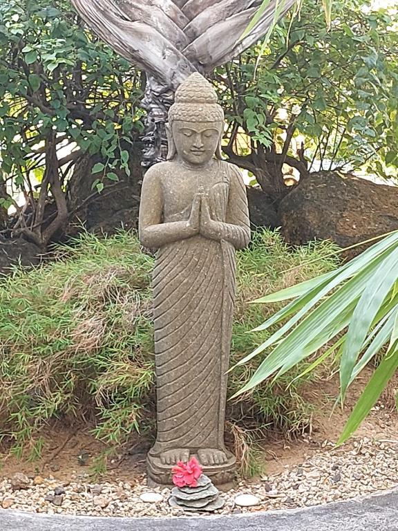 Brahmanhut - Eco Hut experience in harmony with nature, wellbeing and spirit - B&B Bain Boeuf