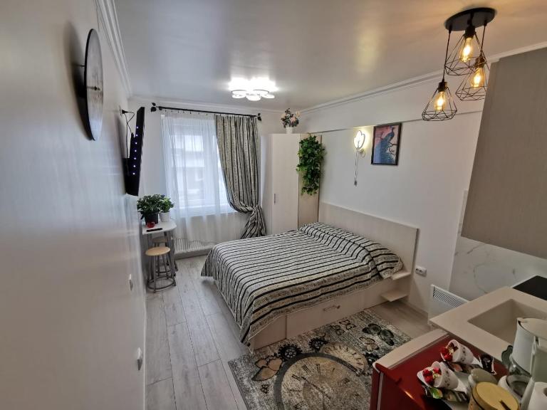 1SmallStudio, central, self check in, kitchineta, parcare - B&B Sinaia