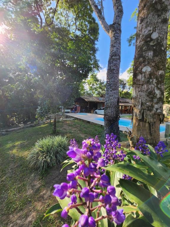 Sítio Donana Sana - B&B Macaé