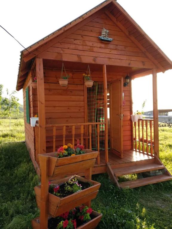 Гостевой дом Темирлан - B&B Kegeti