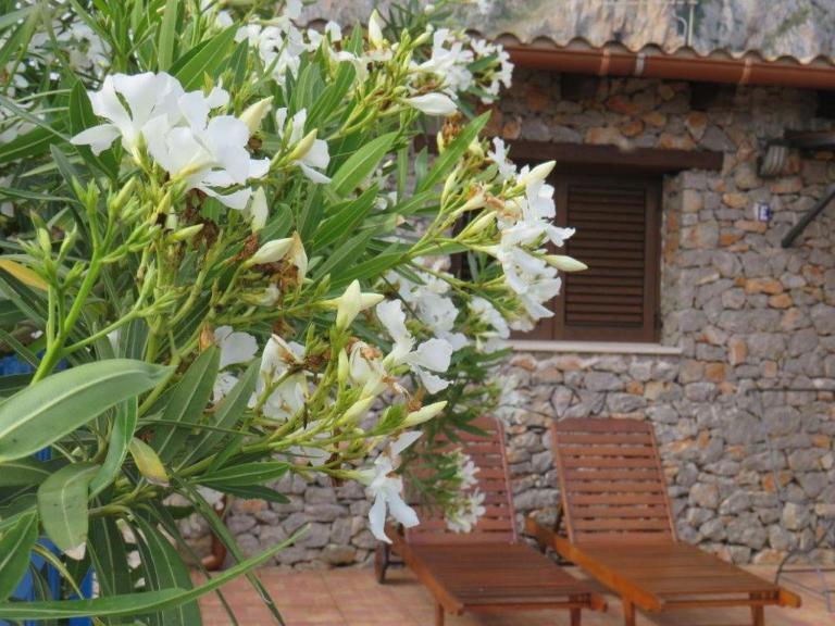 Villetta Edera all'Usciere - B&B San Vito Lo Capo