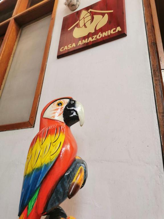 Hospedaje Casa Amazónica Iquitos - B&B Iquitos